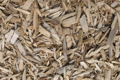 biomass boilers Wood Stanway